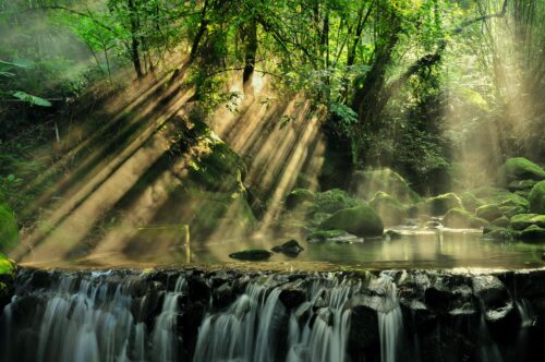 The new Global Biodiversity Framework will address humanity’s impact on nature, such as this forest and waterfall
