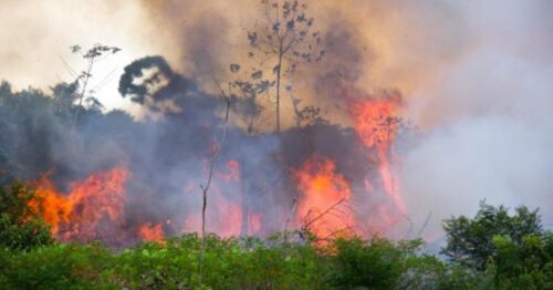 A large forest fire rages, one of the many effects of climate change and global warming seen around the world