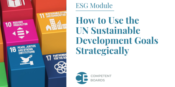 how_to_use__the_un_sustainable_development_goals_strategically_competent_boards