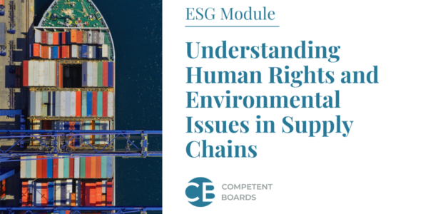 understanding_human_rights_and_environmental_issues_in_supply_chains_competent_boards